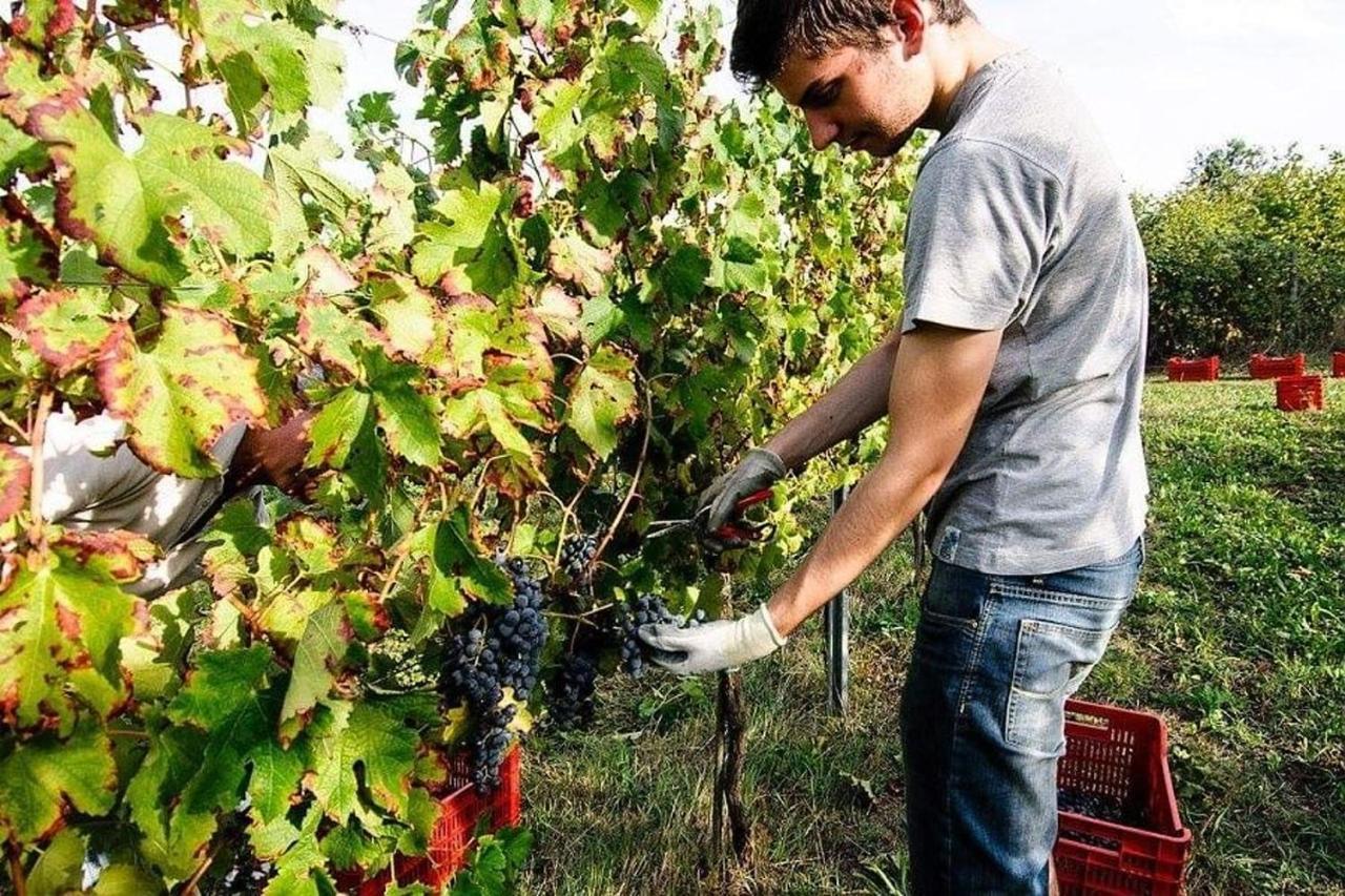 Agriturismo Podere Prasiano Marano sul Panaro Exterior foto
