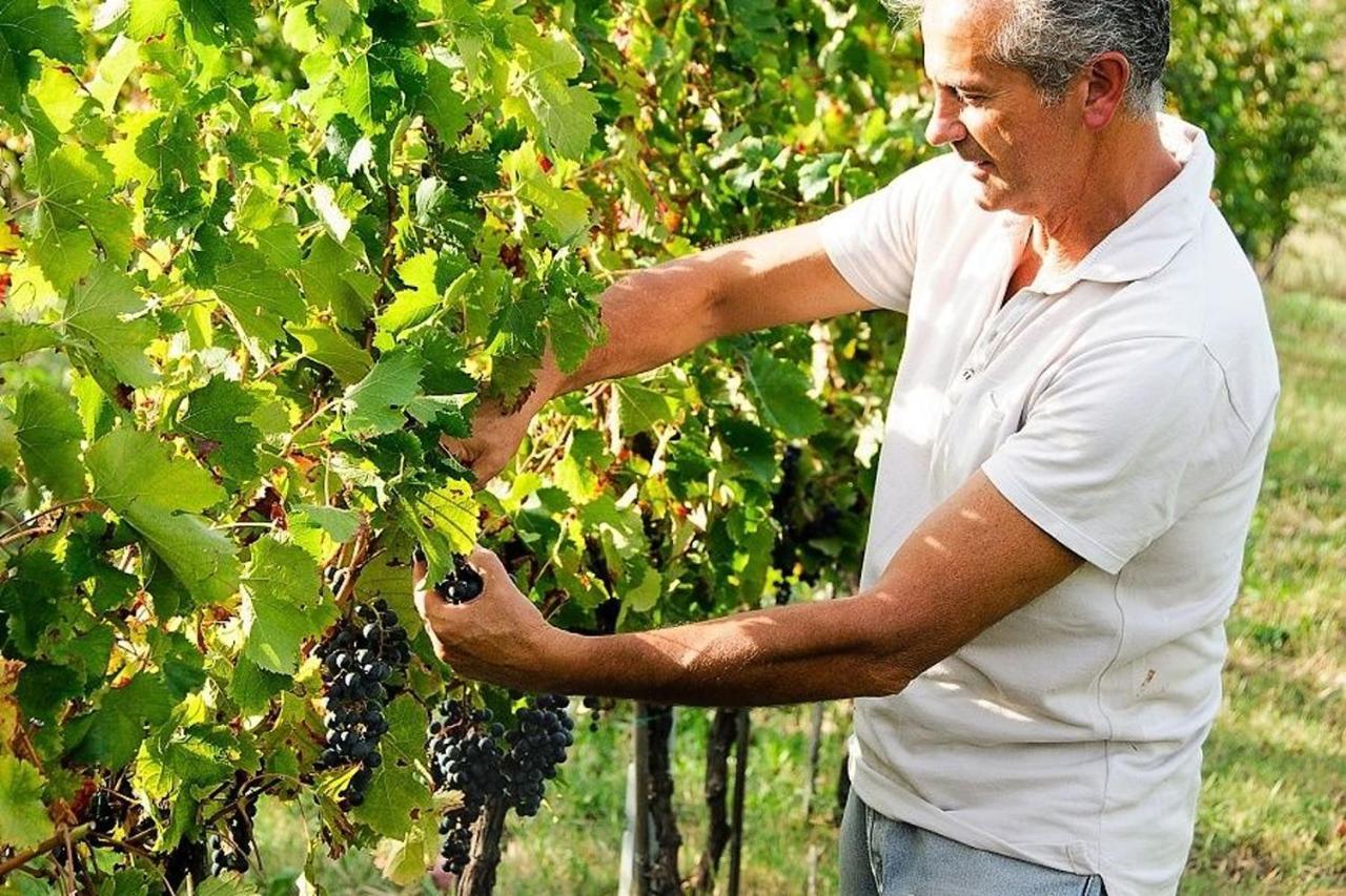 Agriturismo Podere Prasiano Marano sul Panaro Exterior foto